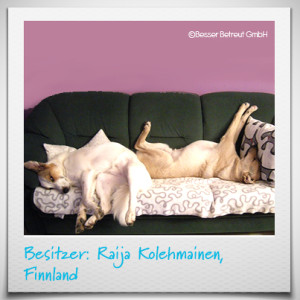 posts_403x403_Raija Kolehmainen