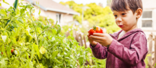 Urban Gardening mit Kindern